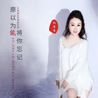 原以为能将你忘记 - 红蔷薇