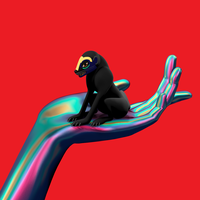 Higher - SBTRKT & Raury