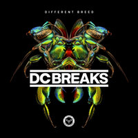 Never Stop - Dc Breaks