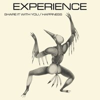 Happiness - Experience