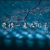 爱情一去不回来 - 贾晓龙