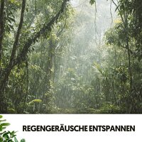 Harmonischer Nieselregen - Música Relajante Para Leer & Rain Wonder & Entspannungsmusik