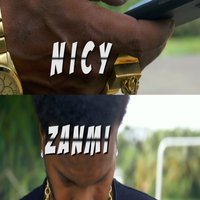 Zanmi - Nicy