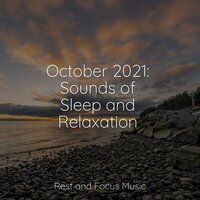An Afternoon Nap - Spa Music Collective & Especialistas de Musica para Dormir & mindfulness meditation world