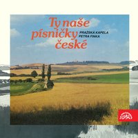 Tulákovo štěstí - Pražská kapela Petra Finka & Ivan Trnka