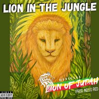 Lion In The Jungle - Official Lion Of Judah & Mello Red