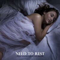 Time Travel - Insomnia Cure Music Society