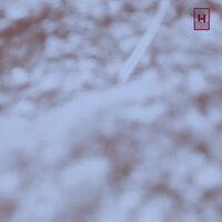 Moon River - Roberto Pianca & Raphael Walser & Noé Tavelli & Sophia Tomelleri