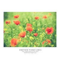 Old Love Story - Feeling Drawings