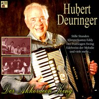 Du fehlst mir - Hubert Deuringer
