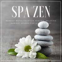 Zen Music - Relax 4 Relax