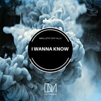 I Wanna Know - Smallistic & Villa