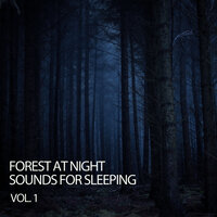 Ambient Jungle Noise - Forest Rain FX & Forest FX & The Forest Escape