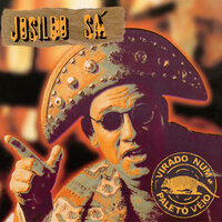 Bandeira de Mulher - Josildo Sá