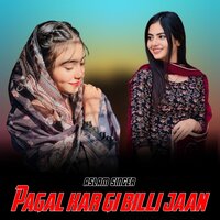 Pagal kar gi billi jaan - ASLAM SINGER