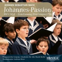 Johannes-Passion, BWV 245.1: 13. Aria: Ach, mein Sinn - Andreas Reize & Akademie Für Alte Musik Berlin & Robert Pohlers & Johann Sebastian Bach