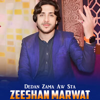 Dedan Zama Aw Sta - Zeeshan Marwat