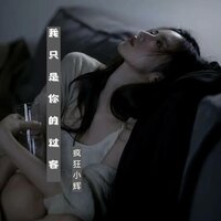 我只是你的过客 - 疯狂小辉 & DJ德朋