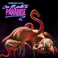 One Minute in Paradise - Flamingo Cartel & DJ Taro