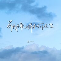 可我不能这样和你过一生 - 王一一