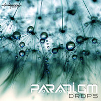 Drops - Paradigm