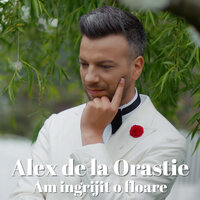 Am Ingrijit O Floare - Alex de la Orastie