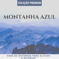 Som da Chuva Relaxante - Beatriz Natureza Flores