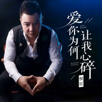 爱你为何让我心碎 - 倪红