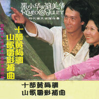 永不離散 - 張少華 & 劉美華