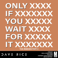 Only if You Wait for It - Dave Rice & Estd88