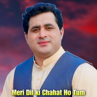 Meri Dil ki Chahat Ho Tum - shah farooq