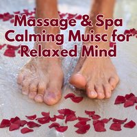 Morning Yoga - Massage Spa Academy