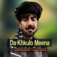 Da Khpal Qismat Na Gilaman - Saidullah Gurbaz