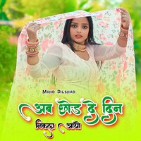 अब छोड दे दिन निकल आयो - Mohd Dilshad & Asmeena Mewati & Asmeena Singer & sahin khan