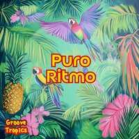 Baile en los Trópicos - Groove Tropics