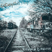 Stand Up - Саблезубый Тигр