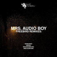 Polymelancholy - Mrs. Audio Boy & FreeBird