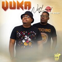 Vuka - NXTLEVEL & Chley