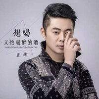 想喝又怕喝醉的酒 - 正华