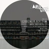 Spiders - Dr Hoffmann & Gabeen