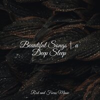 Stargazing Lovers - Rest & Relax Nature Sounds Artists & Zen Music Garden & Nature Sound Collection