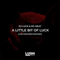 A Little Bit of Luck - DJ Luck & Statix