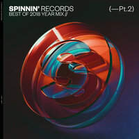 Down For Anything - Sam Feldt & MÖWE & KARRA