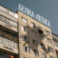 белка-летяга - glebfive & human Being