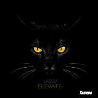 Elevate - Lascu