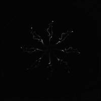 Backwards - Our Enemies & TITUS