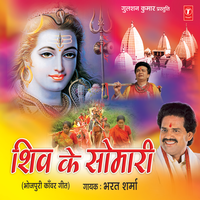 Devdhar Ja Ja Shiv Se - Bharat Sharma Vyas