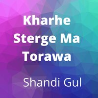 De Saudia Viza Me Okhra - Shandi Gul