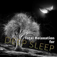 Deep Zen Meditation (Peaceful Flute Music) - Trouble Sleeping Club