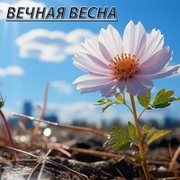 Путь к свету - Музыка для исцеления души & Мелодии для укрепления духа & Астральная частота музыки
